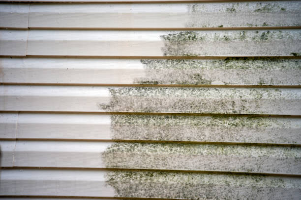 Best Hoarding Cleanup  in South Coatesville, PA